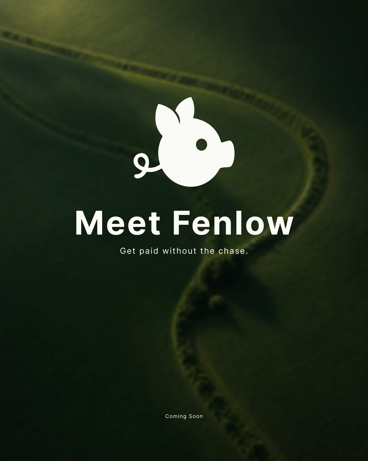 White Fenlow pig emblem on a dark green brand introduction.